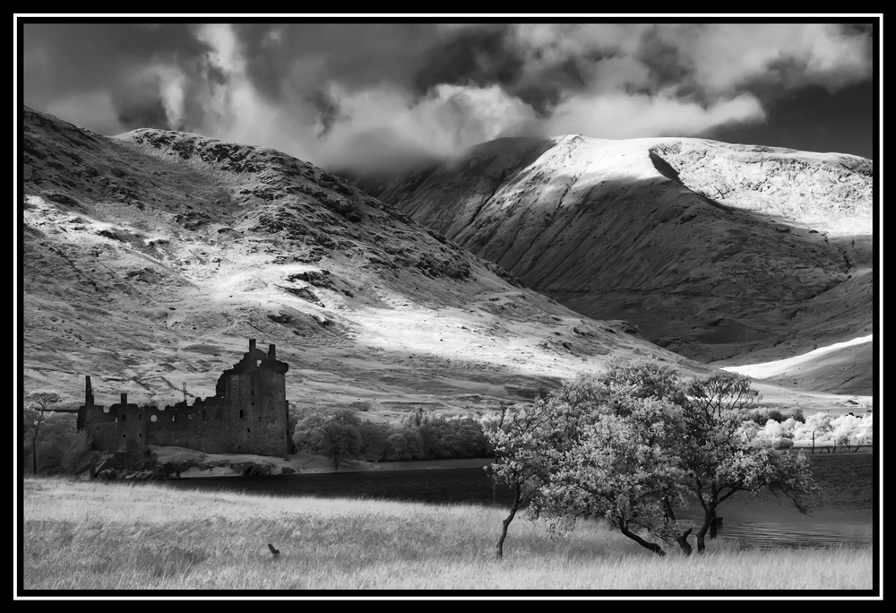 Scotland 2011   0339   Y   IMG 7386 s